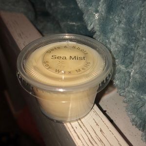 Soy Wax Melt